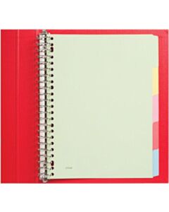 Registerkarten 23-Loch 5-teilig sortiert Karton Budget