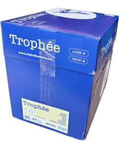 Karton mit gelbem A4-Papier 80 Gramm Clairefontaine Trophée